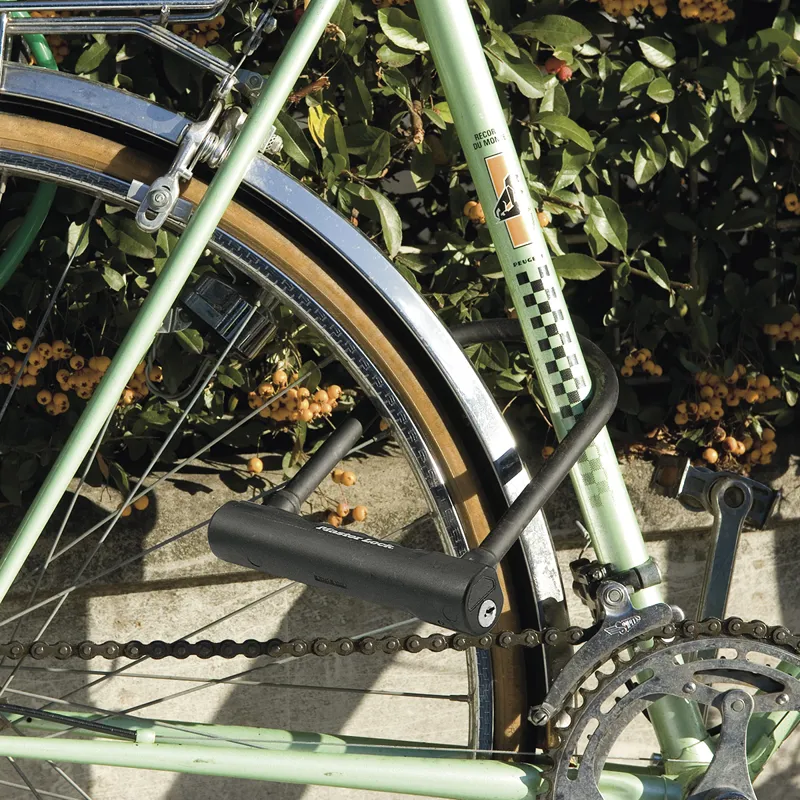 Master Lock Bike D-Lock 10 x 20cm 8170EURDPRO Black-3